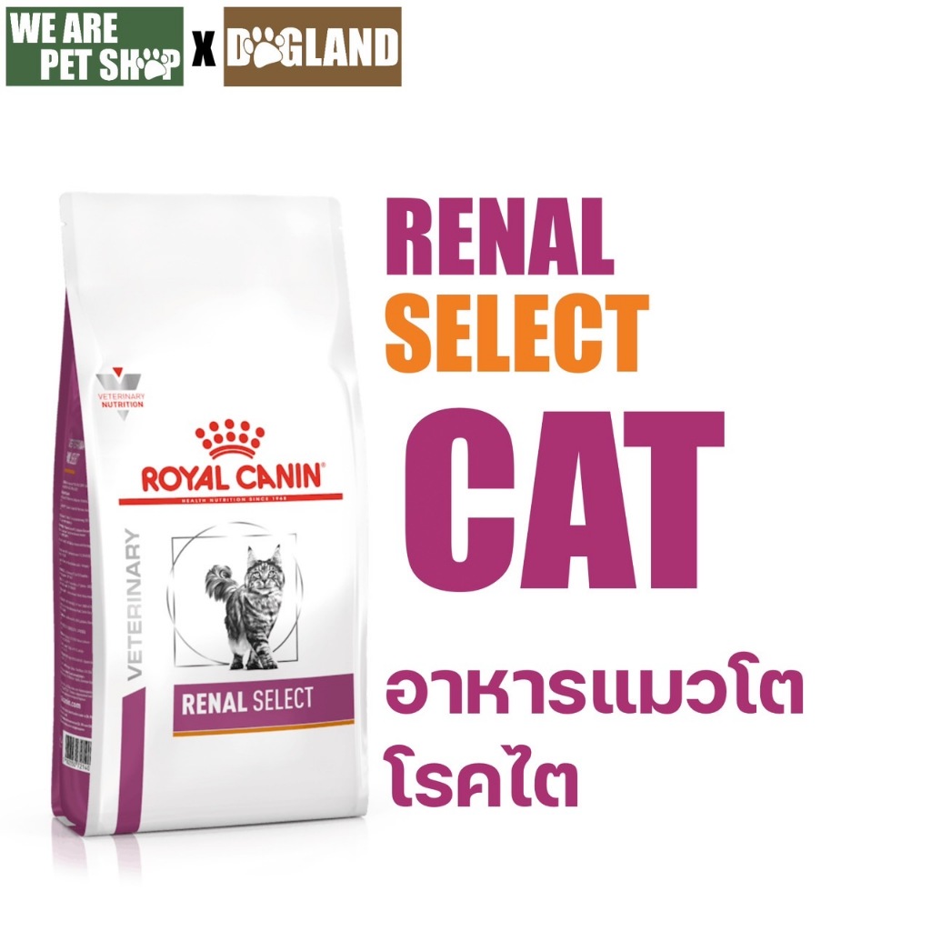 Royal Canin Vet Cat โรคไต RENAL SELECT