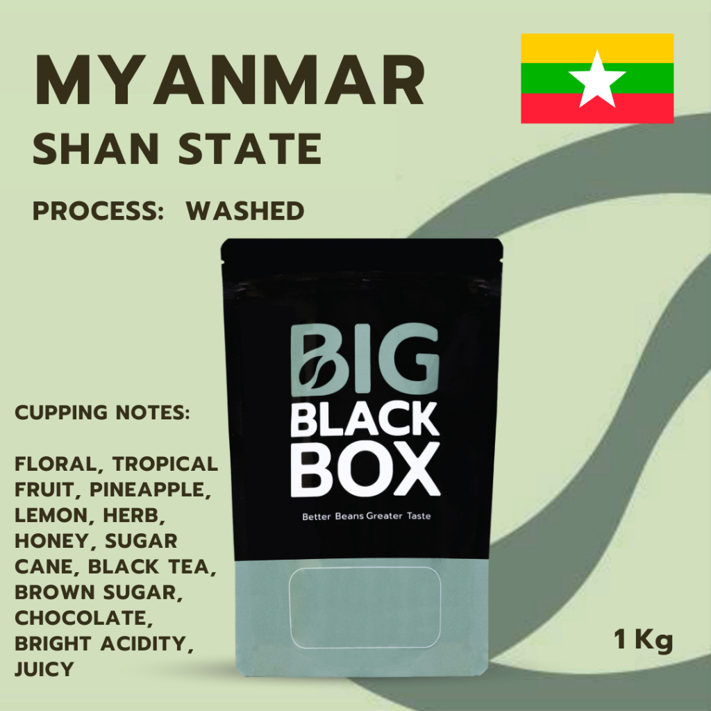 (AA-MY15-16) สารกาแฟ Myanmar Shan State Washed 1 kg