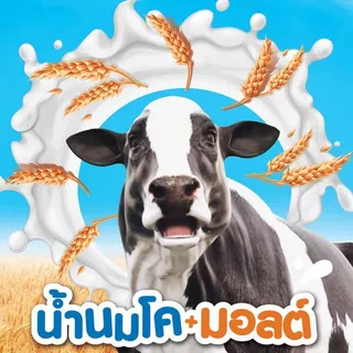 Ovaltine โอวัลตินมอลต์มิ้ลค์ แบบ UHT ขนาด 170 มล. แพค 4 (ยกลัง 36 กล่อง) x 2 ลัง