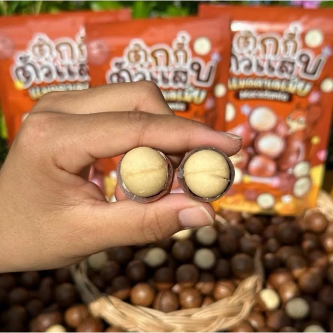 Flash Sale 1แถม2 แมคคาเดเมีย 1000g+1000g +1000gได้3ถุง ครึ่งโล เม็ดใหญ่ เปลือกบาง เนื้อเยอะ ตุ๊กกี้ตัวแ