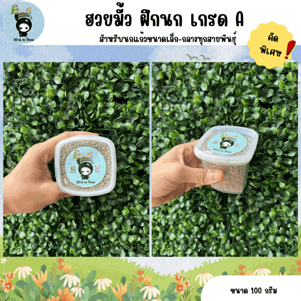 อาหารนกแก้ว ฮวยมั้ว สำหรับฝึกนก เกรด A (คัดพิเศษสำหรับนกแก้ว)
