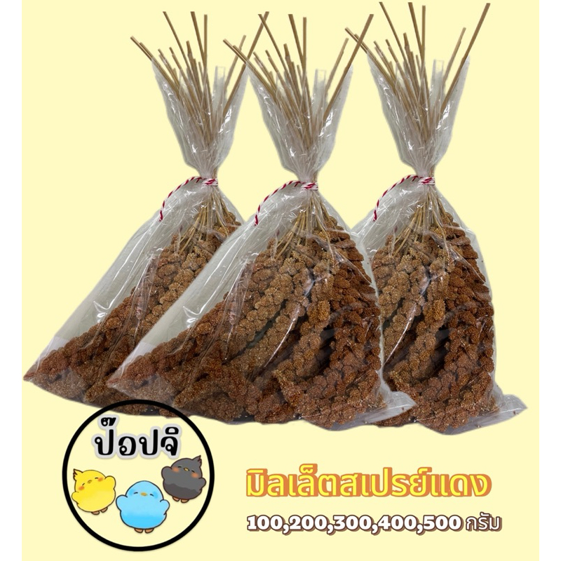 มิลเล็ต สเปรย์แดง สำหรับนก แฮมเตอร์ สัตว์ฟันแทะ ส่งไว!
