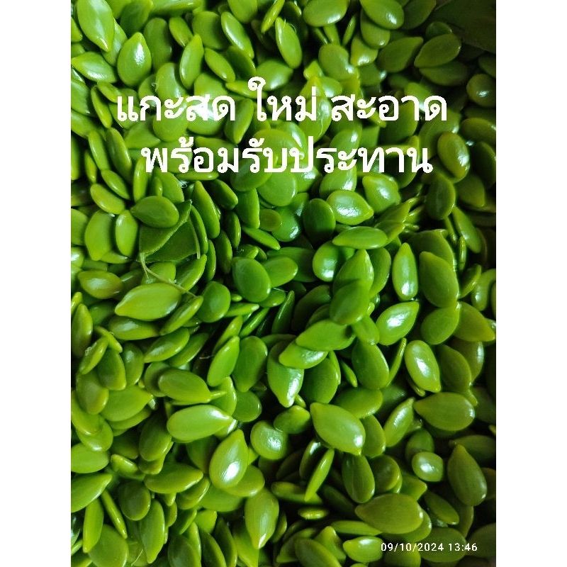 เม็ดกระถินแกะสด สะอาด พร้อมทาน