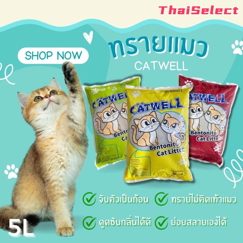 Pet CAT WELL ทรายแมวราคาถูก คุณภาพดีเยี่ยม ขนาด 5 ลิตร