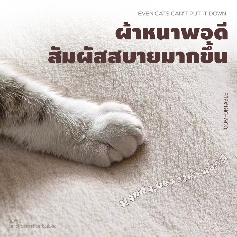 พรมปูพื้น ดูดซับน้ำ สำหรับห้องน้ำ ห้องครัว ขนาด 40 * 60 ซม. - รูปที่ 3