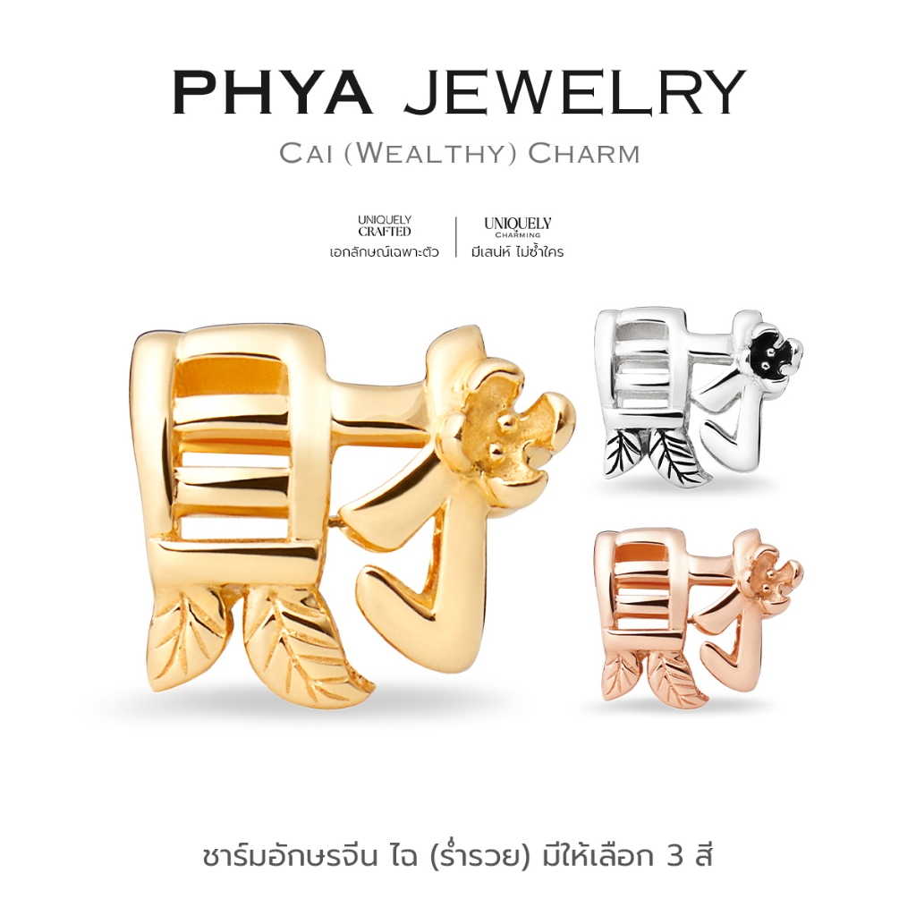 PHYA GP Wealthy Charm 财(cái) : ชาร์มอักษรจีน(ร่ำรวย) ( มีให้เลือก 3 สี ) เงินแท้