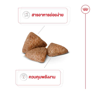 [3KG]Royal Canin อาหารสุนัขสูตร MINI INDOOR ADULT สุนัขโต พันธุ์เล็ก เลี้ยงในบ้านขนาด 3 กก.