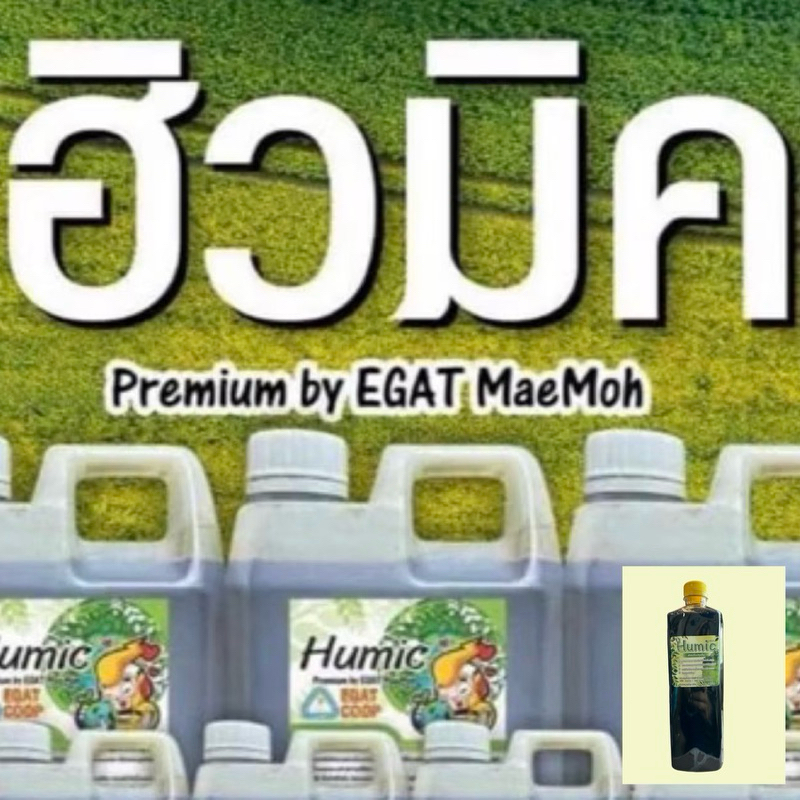 ฮิวมิคเข้มข้น100% ขนาด1ลิตร จากเหมืองการไฟฟ้าฝ่ายผลิต(กฟผ)แบ่งจำหน่ายจากถังใหญ่ 1ขวดใช้รดราดดินหรือพ่น 1ลิตร