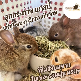 NEW ทิโมธีสับหยาบใบเยอะ ทานง่าย 500 กรัม (ร่อนฝุ่น) หญ้ากระต่าย แกสบี้