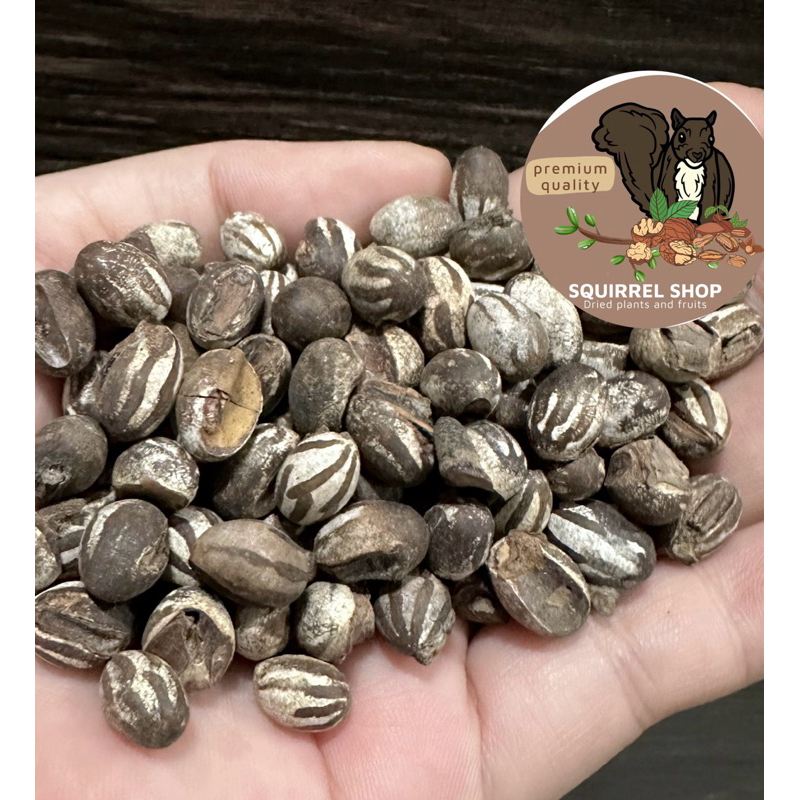 ขนมน้ำผึ้ง เสริมโปรตีน สำหรับสัตว์เลี้ยง (วิธีเก็บ:แช่เย็นช่องธรรมดา)