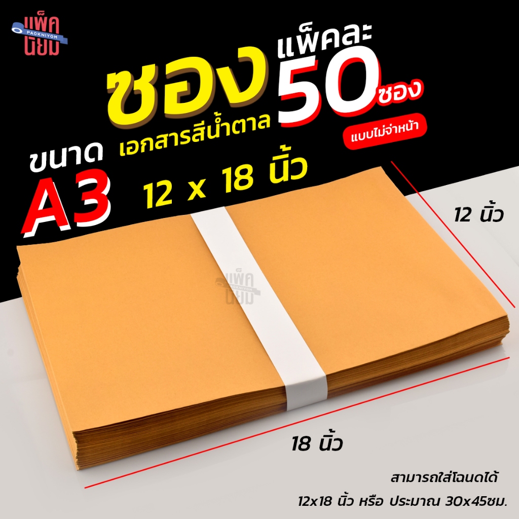 ซองน้ำตาล ซองเอกสาร ขนาด A3 ขนาด12×18นิ้ว [แพ็ค 50] ซองใส่โฉนดที่ดิน