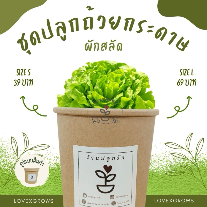 LXG : ชุดพร้อมปลูกผักสลัดในถ้วยกระดาษ มีผักสลัดหลายชนิด ผักสลัด ชุดปลูกผักเซ็ทของขวัญ มี 2 ขนาด คือ size S กับ L