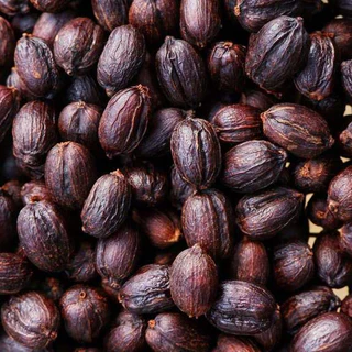 Mungmee Coffee เมล็ดกาแฟ คั่วอ่อน Magpie SCM ( Semi Carbonic Maceration )