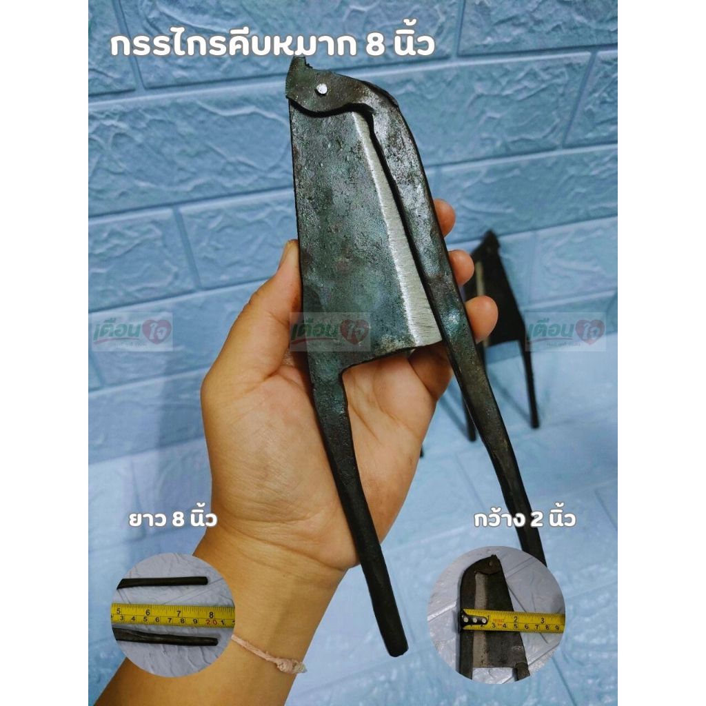 กรรไกรคีบหมาก กรรไกรตัดหมาก (อยุธยา) (ขนาด 6
