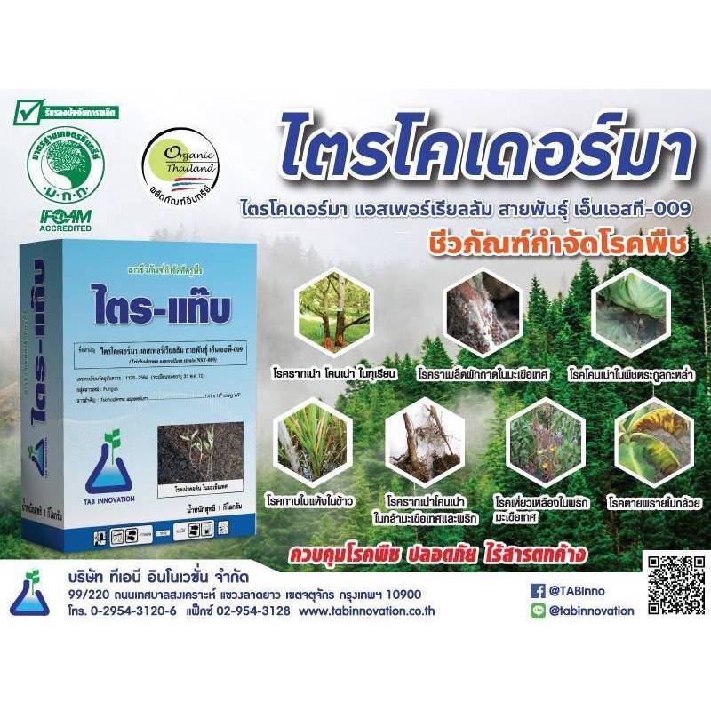 ไตรโคเดอร์ม่า ไตรแท็ป สูตรเข้มข้น แบบผง(100กรัม) ปลอดภัย 100 %