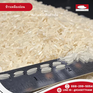 25 กก. ข้าวเหลืองอ่อน นุ่มฟูเย็นไม่แข็งไม่มีเม็ดหัก ข้าวสารตราส้มเขียวหวาน คุณภาพดีราคาโรงสี ส่งฟรี