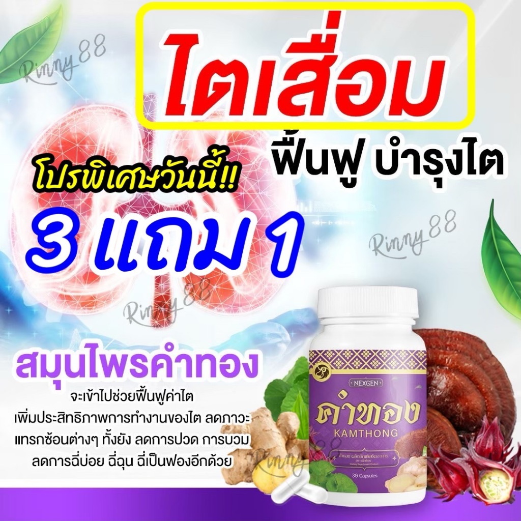 ✨สมุนไพรฟื้นฟูไต [ค่าไตดีขึ้น]🌿 ฉี่บ่อย ความดันน เบาหวาน ปวดเอวปวดหลัง อ่อนเพลียง่าย สมุนไพรคำทอง