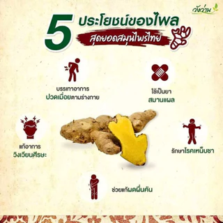 🌿วังว่าน🌿 ยาหม่อง ตราวังว่าน Wangwan Brand Balm ยาหม่องบรรเทาอาการปวดเมื่อยตามร่างกาย ออฟฟิสซินโดรม มีหลายขนาดให้เลือก