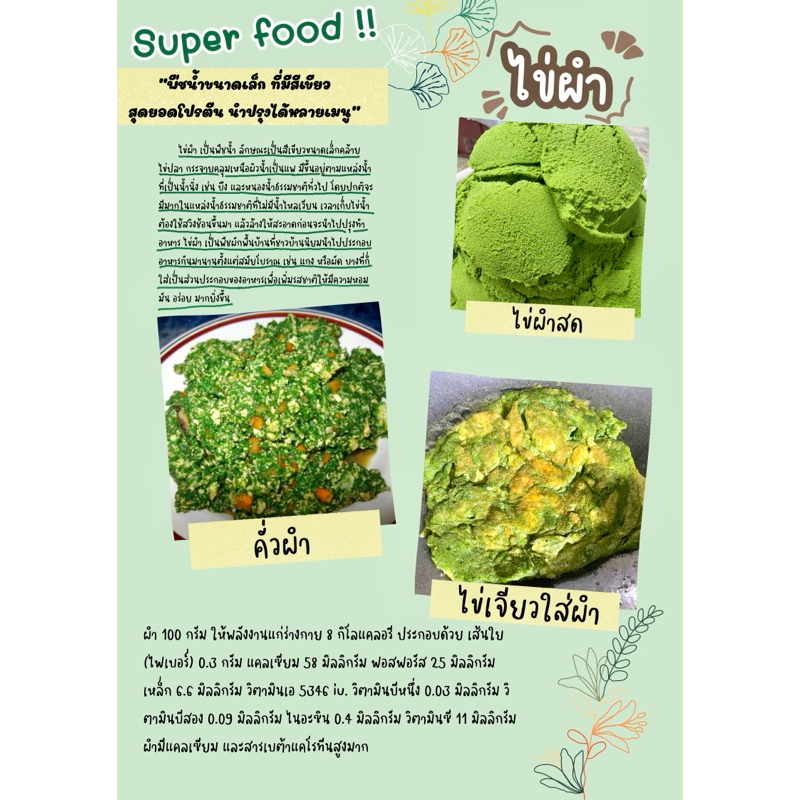 ผำ ไข่ผำ หรือไข่น้ำ Super food 🪴wolffia 1 kg. #ไข่ผำสด #ผำสด #ไข่น้ำสด