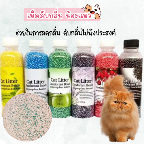 ที่ดับกลิ่น น้องเเมว เม็ดดับกลิ่น ลูกปัดระงับกลิ่นเหม็น ดับกลิ่นฉี่และอึ 2078