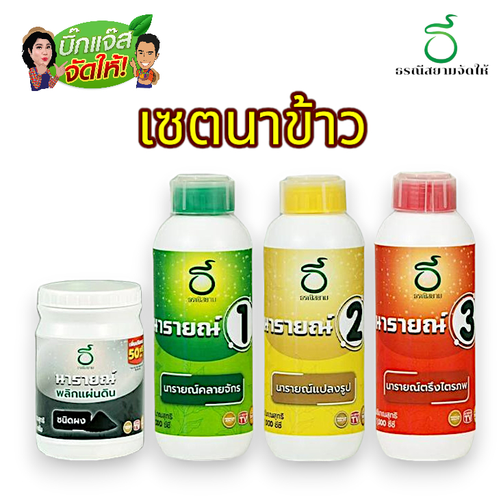 ธรณีสยาม เซตนาข้าว ฉีดพ่นหลังปลูกข้าว