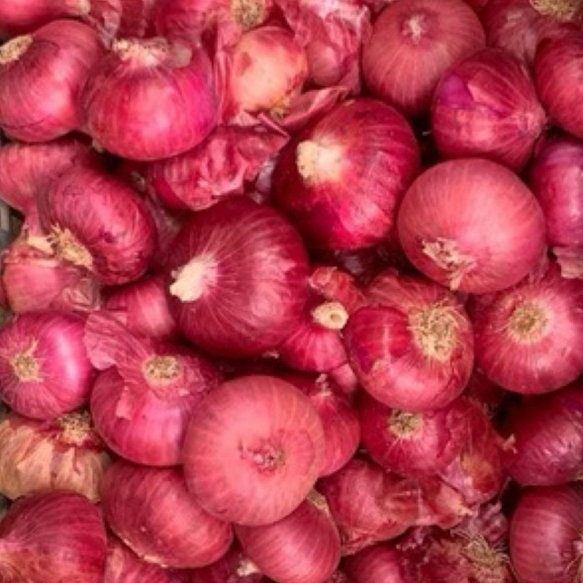 รูปภาพ 7