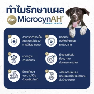 Microcyn AH รักษาแผล ฆ่าเชื้อแบคทีเรีย ไวรัส ยีสต์ สปอร์ EXP11/26 เชื้อรา และโรคผิวหนัง กับสัตว์ทุกชนิด