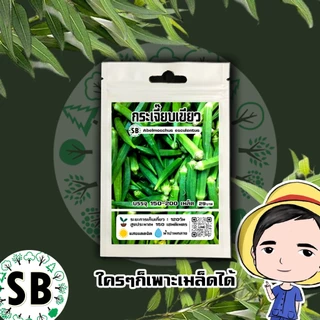 เมล็ดกระเจี๊ยบเขียว [150-200เมล็ด/ซอง] 🔥โปรโมชั่น [ซื้อ 2 แถม 1ซอง]
