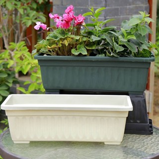 กระถางรางยาว กระถางปลูกผัก กระถางรางยาวสี่เหลี่ยม เรียบง่าย …