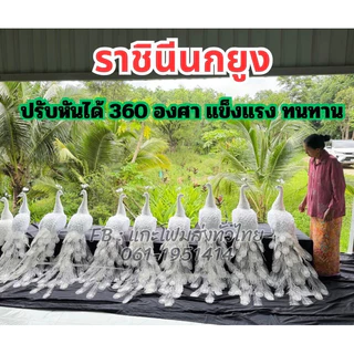 นกยูง #นกยูงโฟม #Peacock