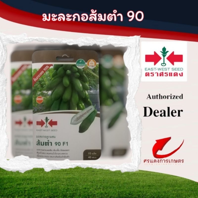 มะละกอแขกนวล​ ส้มตำ​90