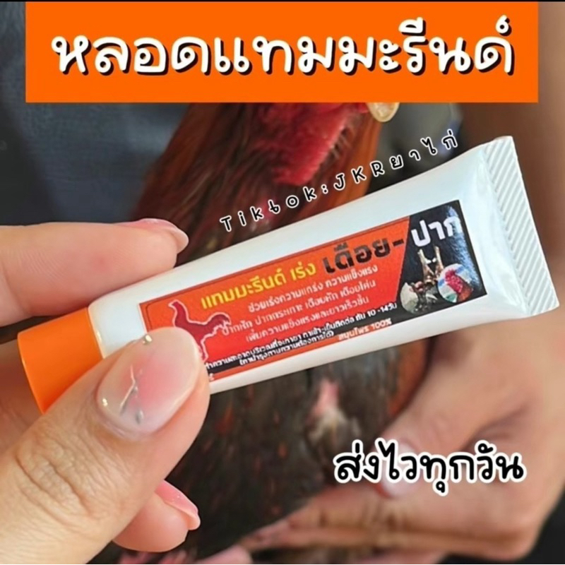 ทาเดือย ทาปาก ไก่ เดือยยาวเร็ว เร่งปาก เร่งเดือย เดือยแข็ง