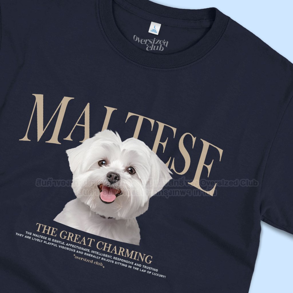 เสื้อยืดสกรีนลายน้องหมา Maltese มอลทีส [Classic Cotton 100% by Oversized Club]
