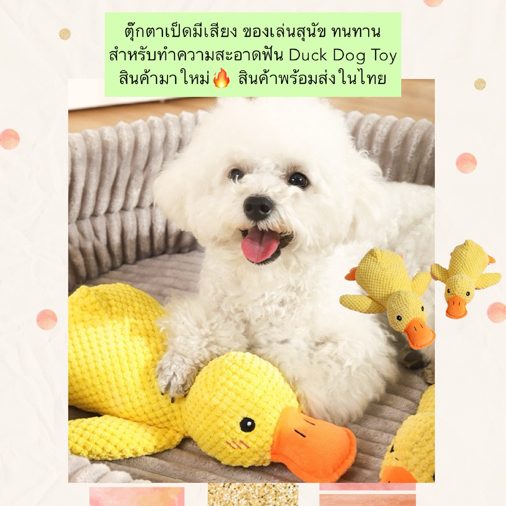 PP-1227 ตุ๊กตาเป็ดมีเสียง ของเล่นสุนัขทนทาน สำหรับทำความสะอาดฟัน Duck Dog Toy ใหม่ล่าสุด พร้อมส่งในไทย🔥