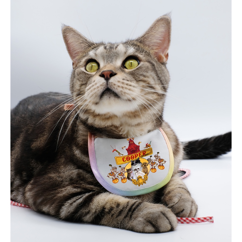 Customized-BIB-ผ้าผูกคอหมาแมว>>>>สามารถเปลี่ยนรูปและข้อความได้**ส่งรูปมาทาง INBOX ได้เลย