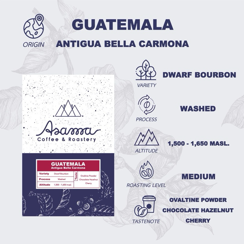 เมล็ดกาแฟคั่วกลาง Guatemala Bella Carmona 200 กรัม