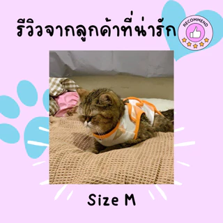 🇹🇭ตัดเย็บมือทำเอง Size M ชุดกันเลียแผล สุนัข แมว ชุดหลังผ่าตัด