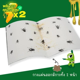 กาวดักแมลงวัน รุ่นพลาสติก ต่อ 1 แผ่น แผ่นดักแมลง แมลงวันกาวดักแมลงวัน แผ่นกระดาษ สินค้าพร้อมส่งจากไทย แพ็คเกจอย่างดี🦟