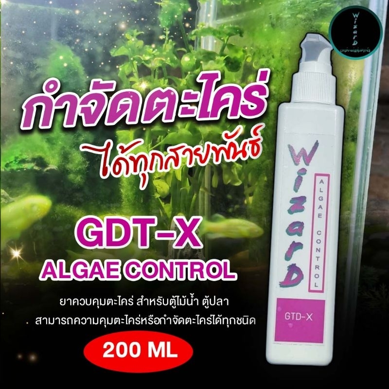ยาฆ่าตะไคร่ WiIZARD  ALGAE CONTROL GTD-X