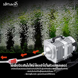 กันน้ำย้อน สำหรับตู้ปลา ตู้ไม้น้ำ กันน้ำย้อนเข้าปั๊มออกซิเจน Co2 อุปกรณ์ไม้น้ำ / ตู้ปลา ขนาด 4 mm ทนทาน