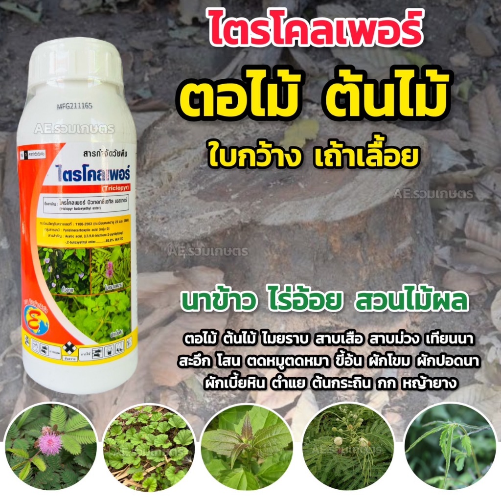 ไตรโคลเพอร์ ยาฆ่าตอ ยาฆ่าต้นไม้ สารราดตอ กำจัดตอ ป้ายตอ หญ้าใบกว้าง เถาเลื้อย ใช้ในอ้อย ข้าว ข้าวโพด  สวน ตราซิกม่า