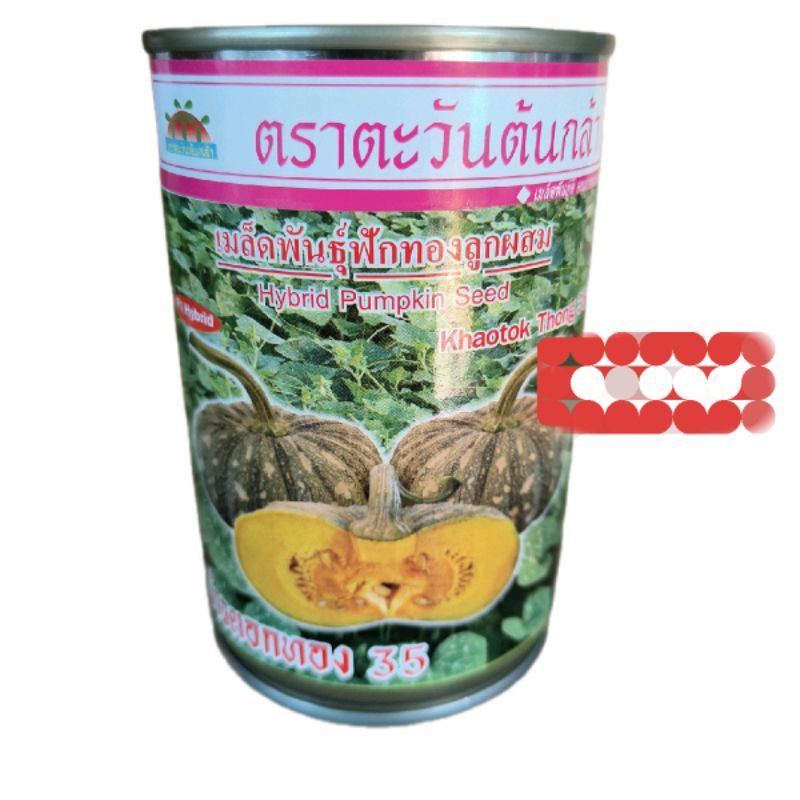 เมล็ดพันธุ์ฟักทอง ลายข้าวตอก(50กรัม)ฟักทอง