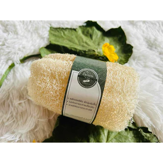 🌱บวบท่อน ขนาด 10-12 เซนติเตร🌱ใยบวบ ใยบวบขัดตัว 🍀ใยบวบธรรมชาติ🍀