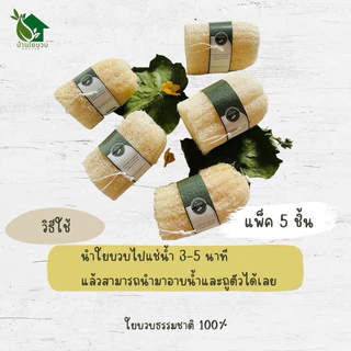 ☘️ใยบวบร้อยเชือก เซ็ต 5 ชิ้น สุดคุ้ม!!☘️ ใยบวบขัดตัว ใยบวบธรรมชาติ