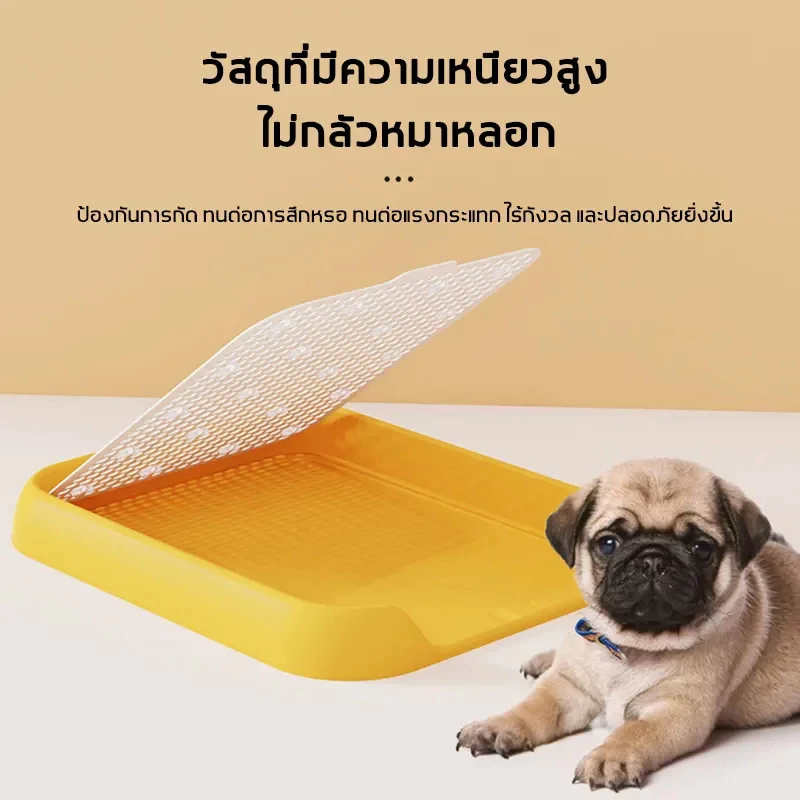 กระบะฉี่สุนัข ถาดรองฉี่สุนัข thumbnail 5