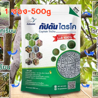 กัปตันไตรโค ฆ่าโรคเชื้อรา (ขนาด 500กรัม) *รักษาปัญหาโรคพืช ครบจบทีเดียว* ไตรโคเดอร์มา ของเเท้100%ปลอดภัย 100 %
