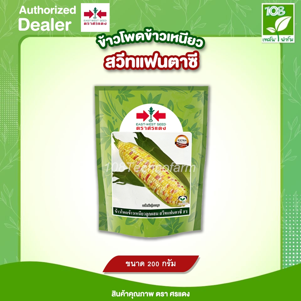 เมล็ดพันธุ์ข้าวโพดข้าวเหนียว สวีทแฟนตาซี (200 กรัม / 1 กิโลกรัม)