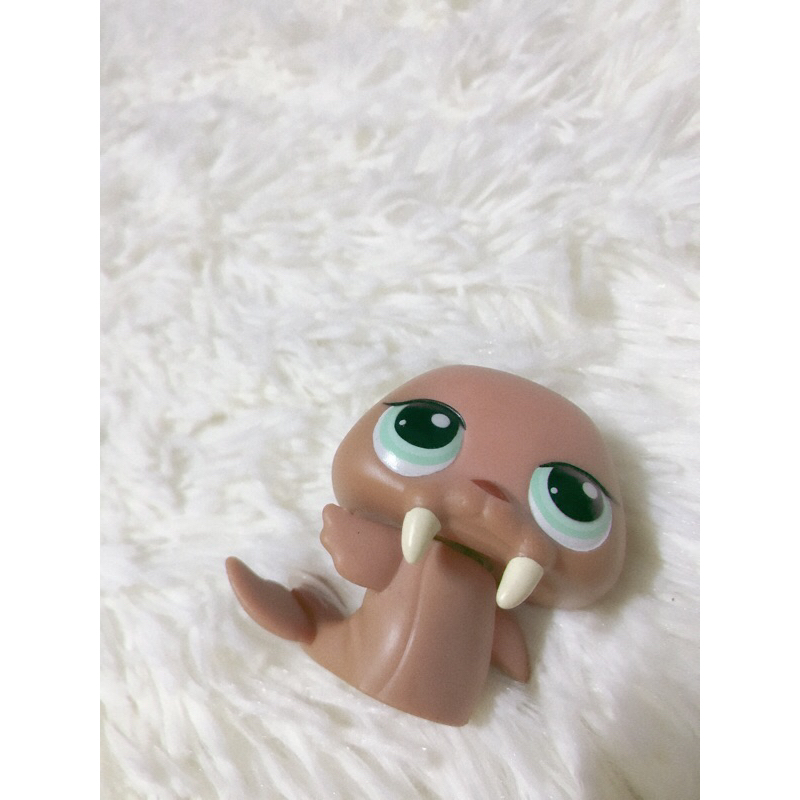 LPS pet shop  สิงโตทะเล