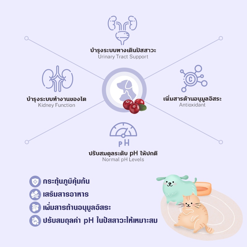 SUN WONDER IMMUNITY & NUTRITION SUPPORT (12 ซอง) อาหารเสริมกระตุ้นภูมิ & เสริมโภชนาการ รสปลาซันมะ - รูปที่ 3