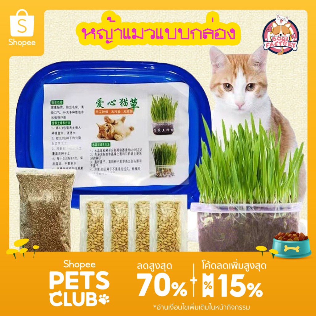 Boqi Factory หญ้าแมวแบบกล่อง ครบชุดพร้อมปลูก ต้นอ่อนข้าวสาลี หญ้าเเมว สำหรับสัตว์เลี้ยง หญ้าแมว YC209